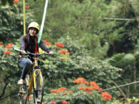 Menikmati Teh Dengan Menyaksikan Lambaian Pemandangan Indah Di Alam Wisata Malino Highlands